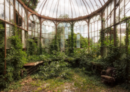 The Greenhouse Effect - James Kerwin - Art Center Hoorn