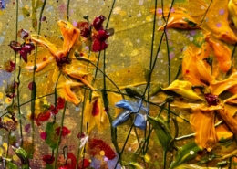 Yulia Muravyeva - Yellow Spring - Art Center Hoorn
